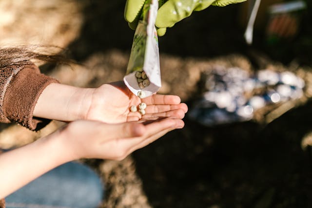 Gardener pouring seeds from a packet into one hand
