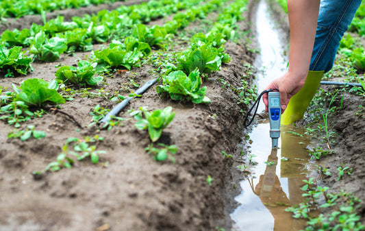 Person measures irrigation water with digital PH meter in watering canal.