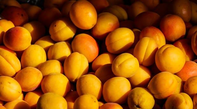 Fresh ripe peaches ready for eating or preserving