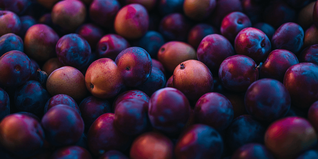 Optimal Growing Conditions for Pluots - Grow Organic