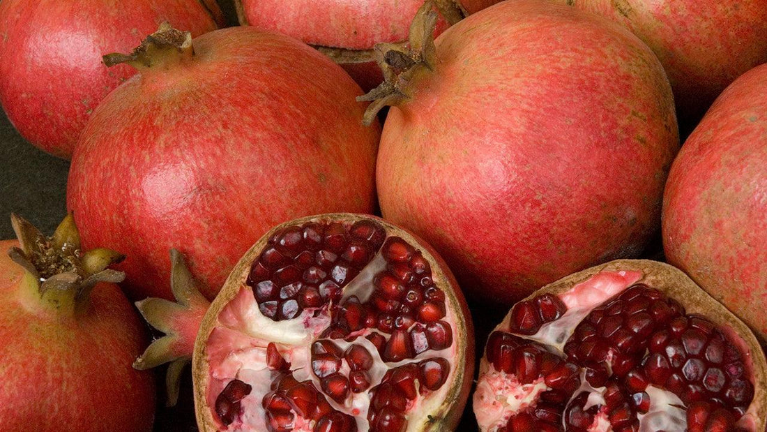 Seasonal pomegranate tree care and growing guide