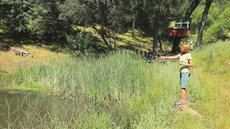 Person standing beside a grassy pond