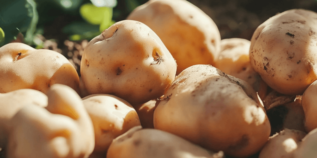 Assorted potatoes piled together
