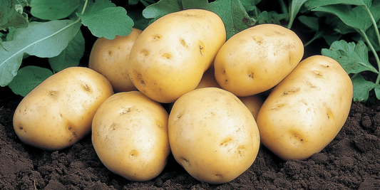 Grow Bigger, Healthier Potatoes - Grow Organic