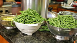 Bowls and colander filled with green beans