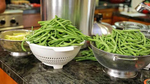 How to Can Green & Wax Beans