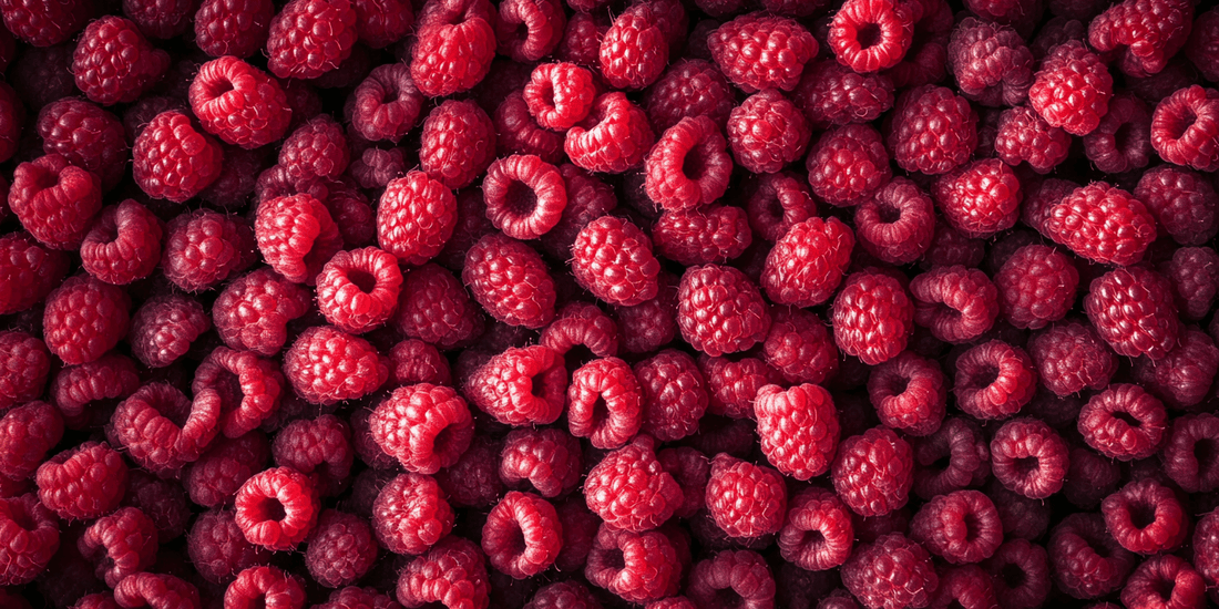 Pile of ripe red raspberries