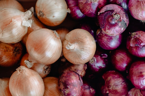 Red and white onions representing crops vulnerable to onion maggots