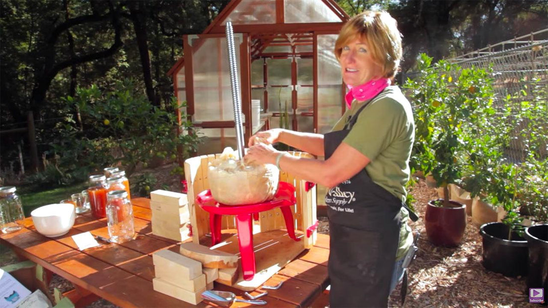 Apple pomace left after pressing fresh cider