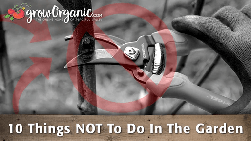 Garden pruning warning graphic with red-handled shears