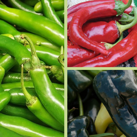 Serrano Pepper, Anaheim & Poblano: Growing Guide at Home