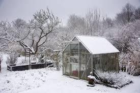 Greenhouse and orchard covered in snow