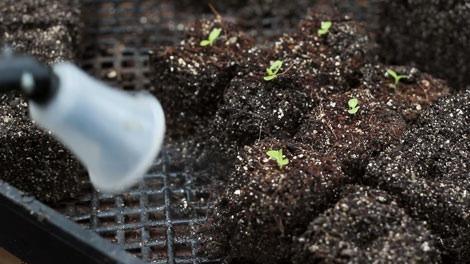 How to Make Soil Mix for Your Soil Blocks - Grow Organic