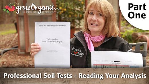 Woman holding a soil-test analysis report