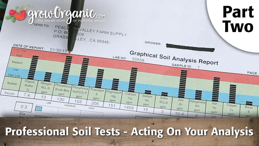 Professional soil-test report and analysis chart