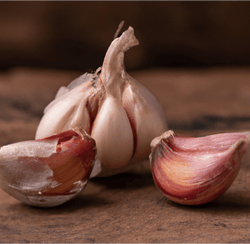 Whole garlic bulb and separated cloves