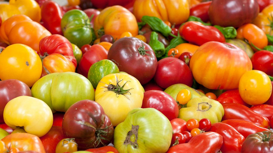 Lots of different colored picked tomatoes.