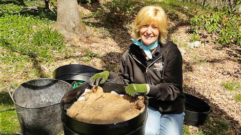 Woman comparing worm bins outdoors