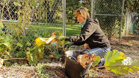 Winter garden checklist for tools, irrigation, soil and orchard areas