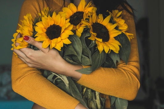 A Complete Guide on When to Cut Sunflowers, How to Cut Sunflowers, and Cutting Sunflowers for Bouquets - Grow Organic