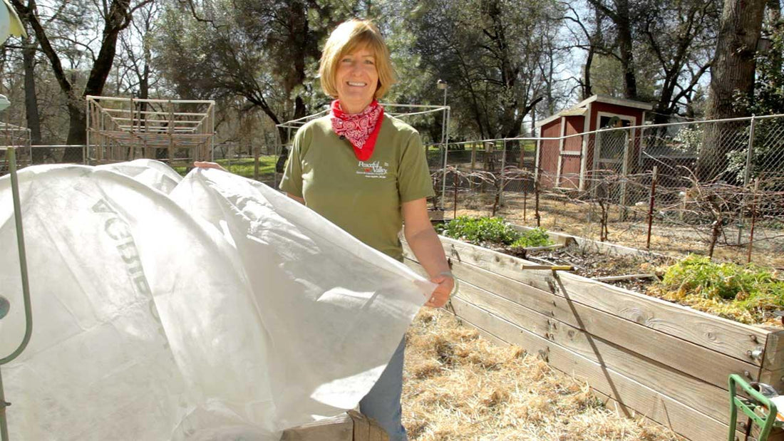 Choosing the Best Floating Row Cover - Grow Organic