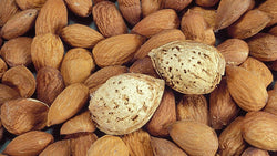 Harvested almonds for hulling, drying, storage and kitchen use