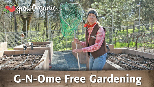 Woman standing beside raised beds in a greenhouse