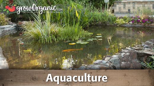 Aquaculture - Grow Organic