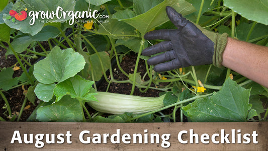 August Gardening Checklist - 20 Tips to Maintain Your Organic Garden