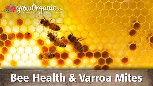 Honey bees working across exposed honeycomb