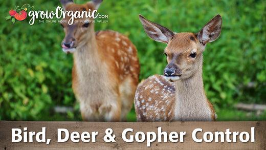 Bird, Deer, and Gopher Control - Grow Organic
