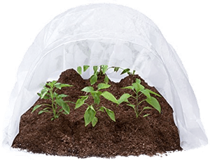 Protective fabric covering garden rows before cold weather