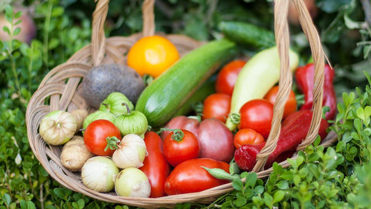 Basket filled with freshly harvested summer vegetables