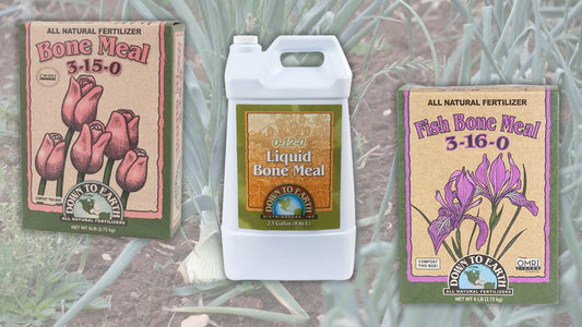 Using Bone Meal in the Garden: What Does Bone Meal Do for Plants and How Much Bone Meal to Add to Soil - Grow Organic