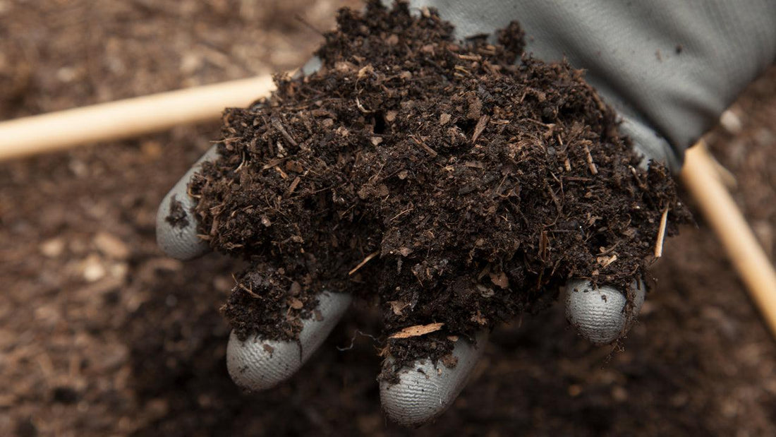 What is Cation Exchange Capacity? - Grow Organic