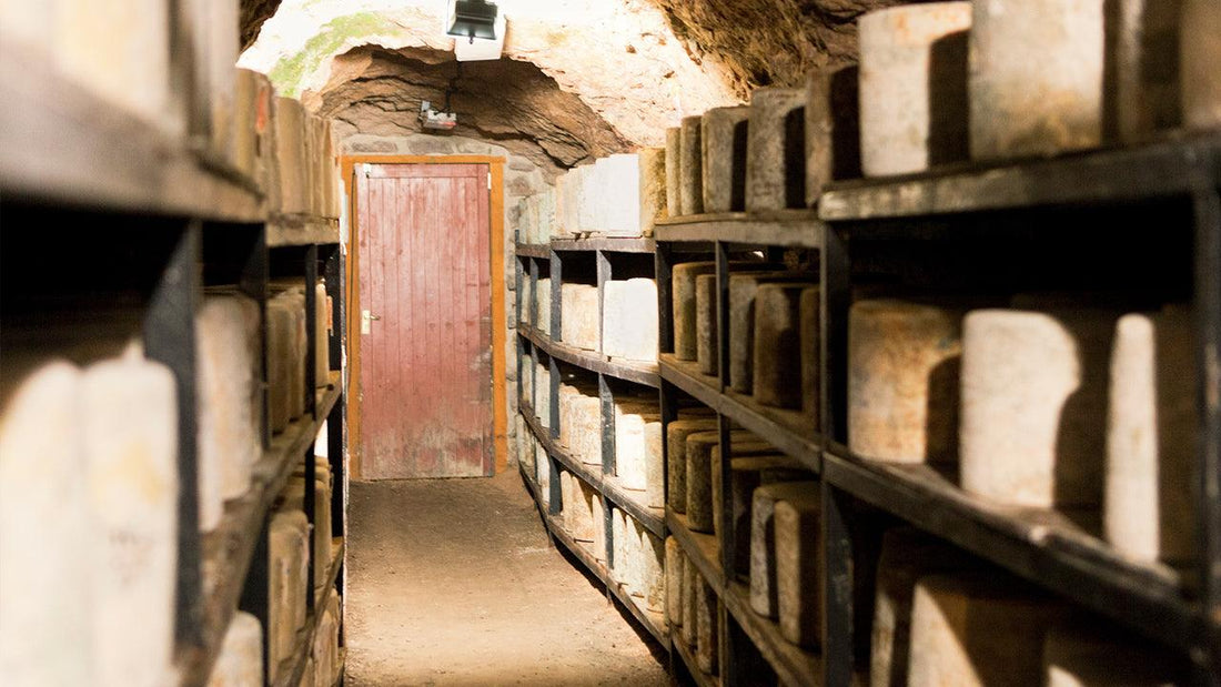 Shelves of aging cheese in a stone-lined room