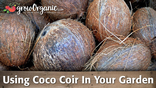 Coconut coir garden guide graphic over coconut husks