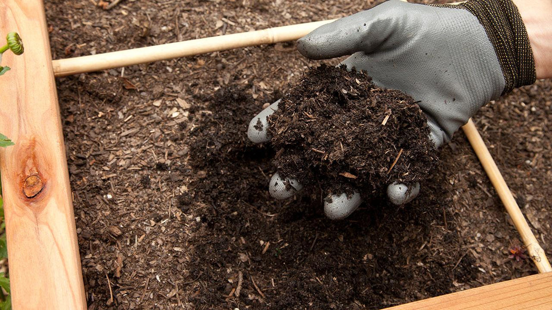 Gloved hand adding material to a compost bed with worms