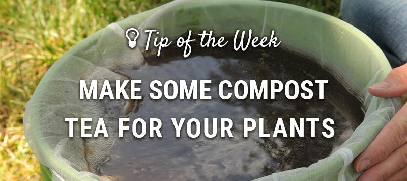 Compost-tea guide graphic over a green bucket