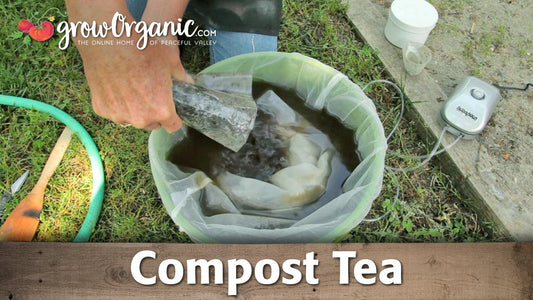 Hand placing a mesh bag into a compost-tea bucket