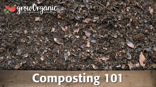 Composting guide graphic over dark compost