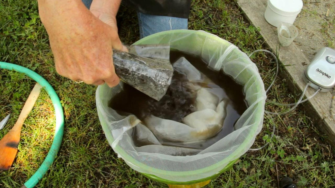 Hand placing a mesh bag into a compost-tea bucket
