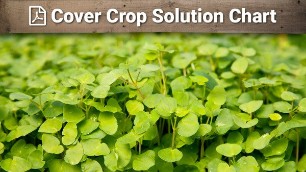 cover crop solution chart