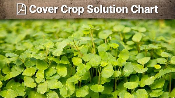 Cover crop solution chart graphic over seedlings
