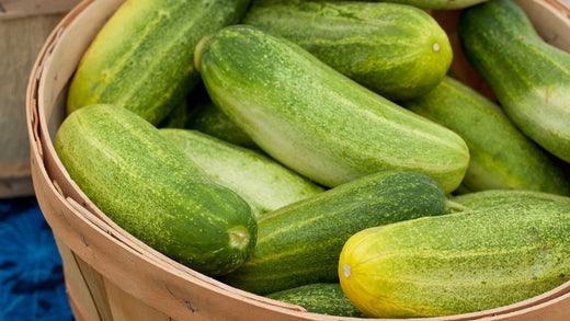 Basket filled with fresh green cucumbers