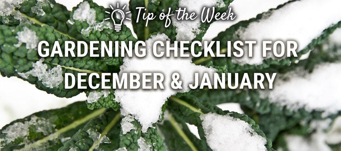 December and January garden checklist graphic