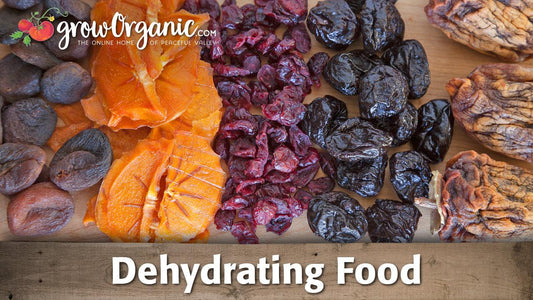 How to Dehydrate Food - Grow Organic