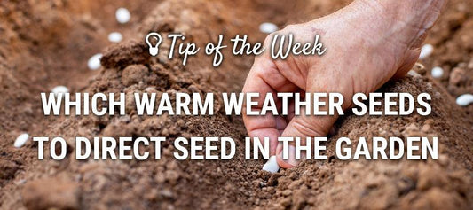 Warm-weather direct-sowing guide graphic over seeds