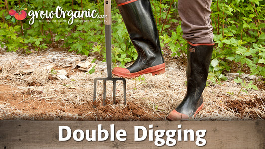 double digging garden method