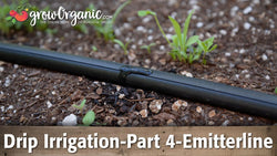 Emitterline tubing watering young plants in garden soil